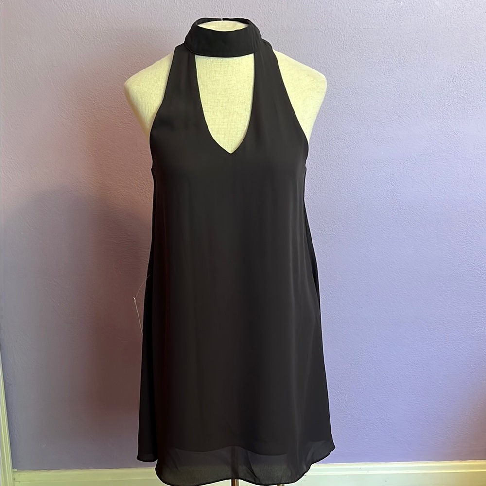 NWT Olivaceuos dress